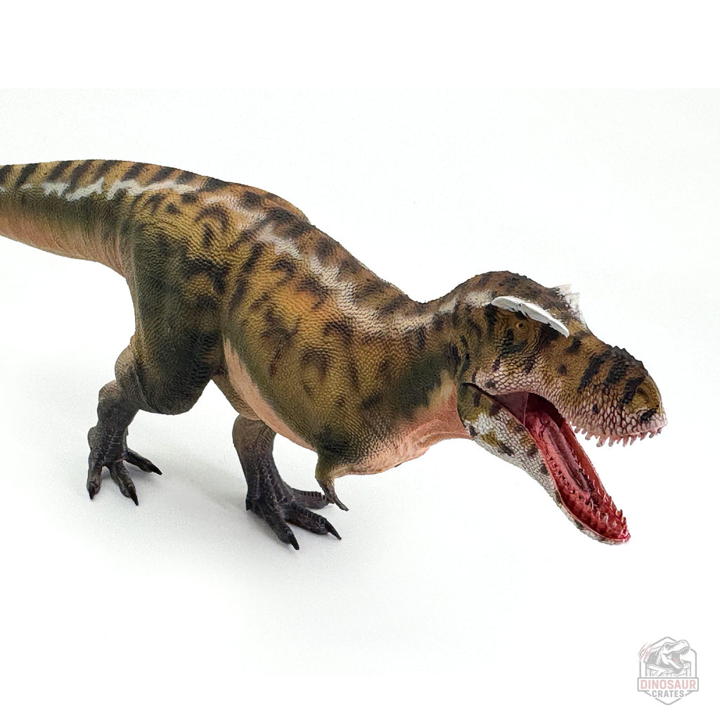 Figurine de dinosaure Tarbosaurus Haolonggood (PRÉCOMMANDE)