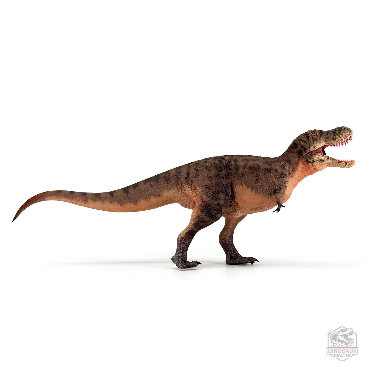 Haolonggood Tarbosaurus Dinosaur Figure
