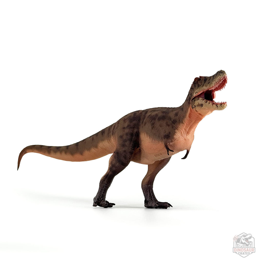 Figurine de dinosaure Tarbosaurus Haolonggood (PRÉCOMMANDE)