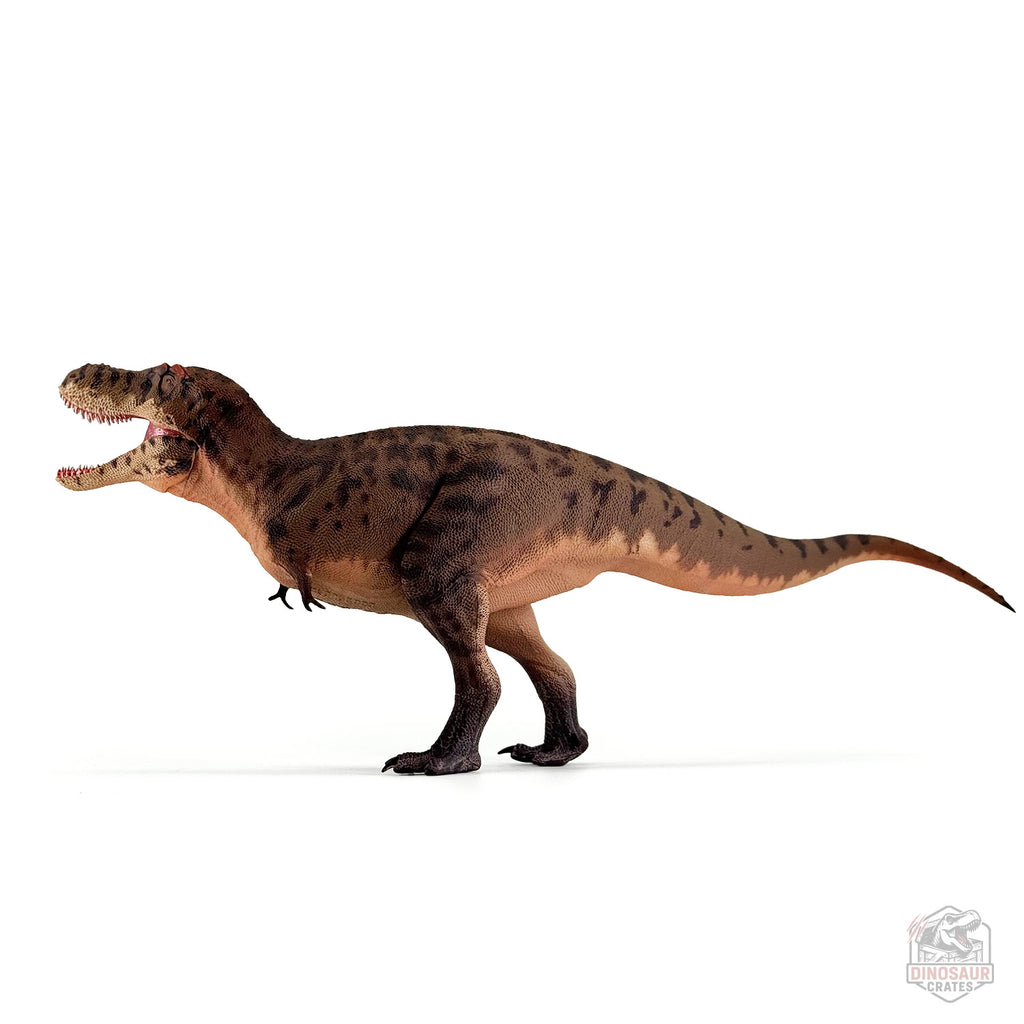Figurine de dinosaure Tarbosaurus Haolonggood (PRÉCOMMANDE)