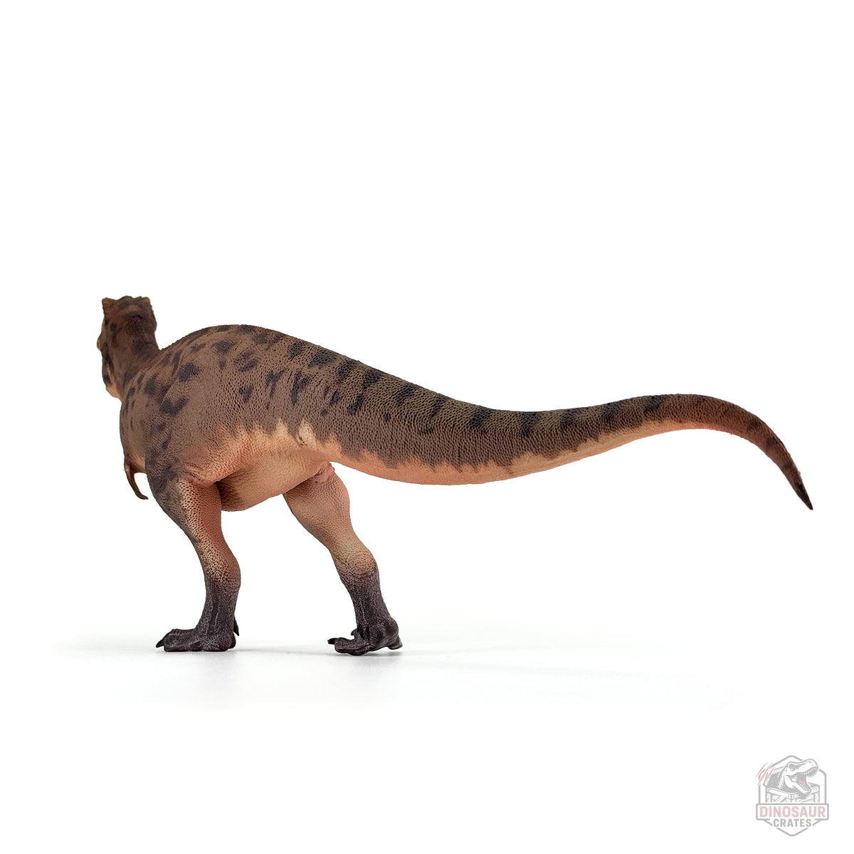 Haolonggood Tarbosaurus Dinosaur Figure