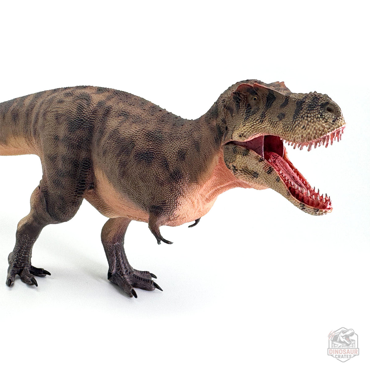 Haolonggood Tarbosaurus Dinosaur Figure