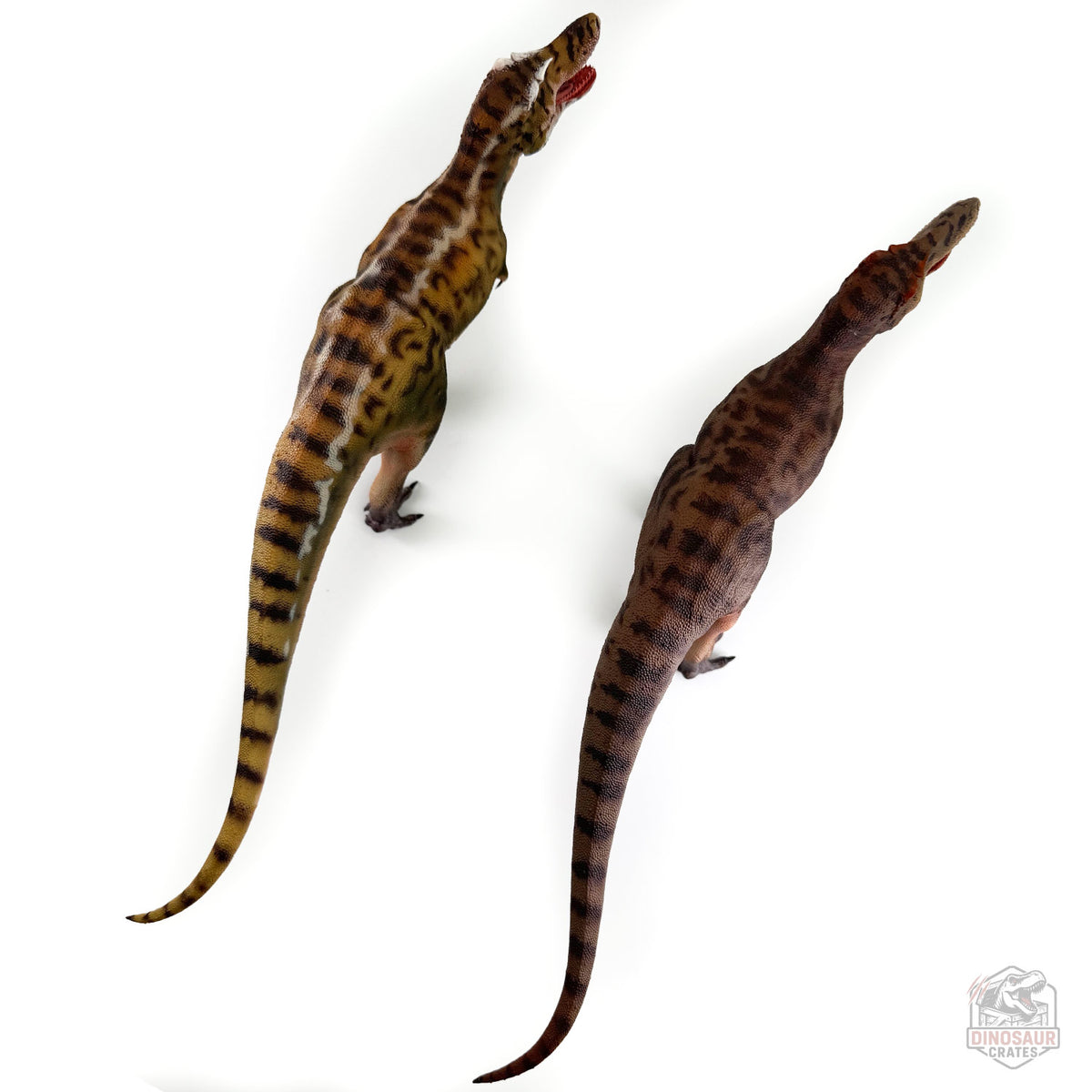 Haolonggood Tarbosaurus Dinosaur Figure