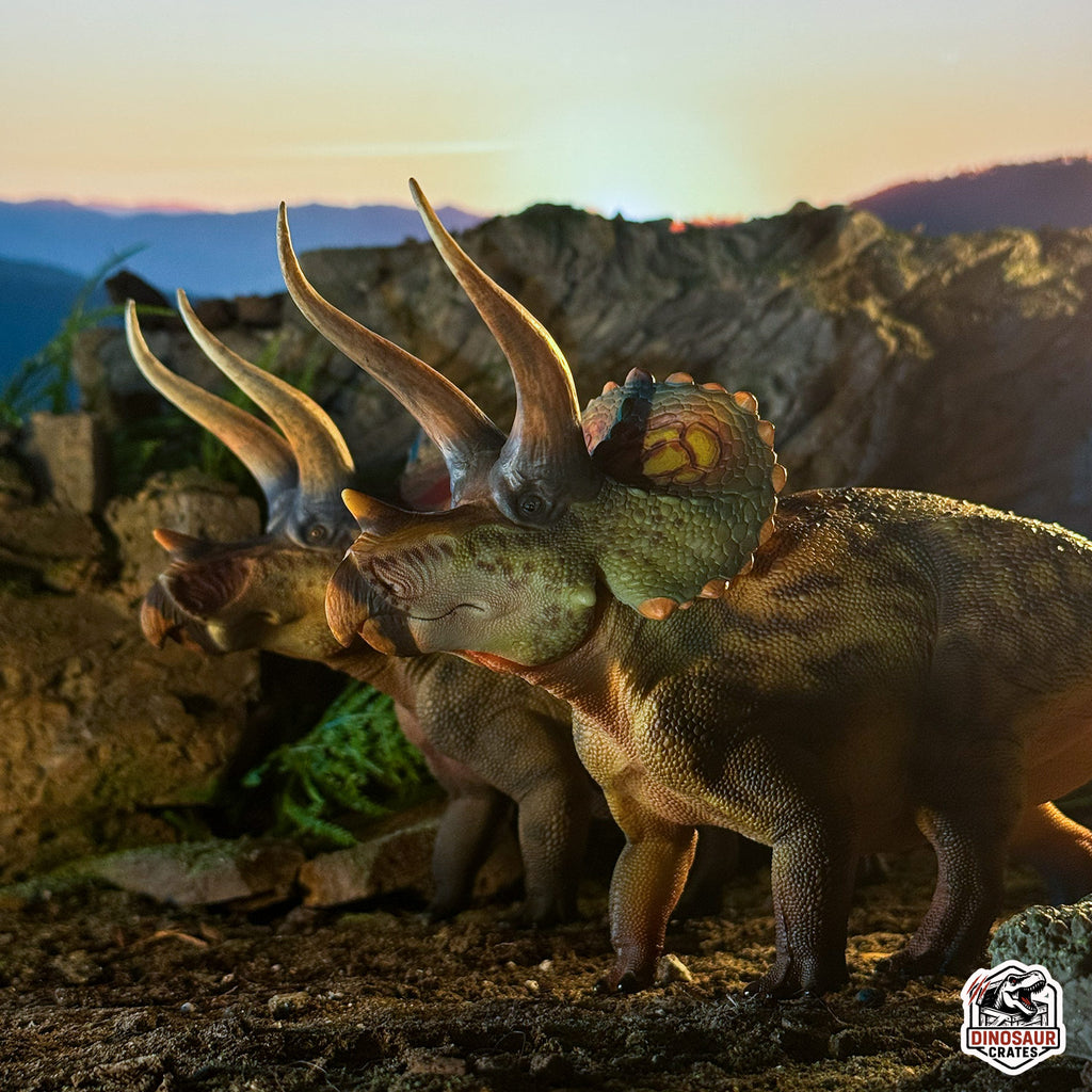 Haolonggood Figurine de dinosaure Tricératops