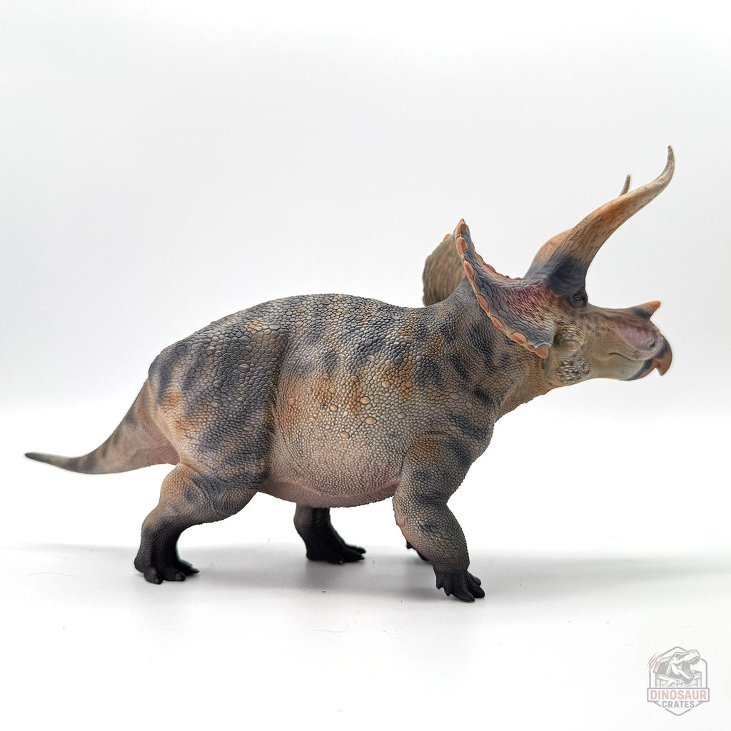 Haolonggood Figurine de dinosaure Tricératops