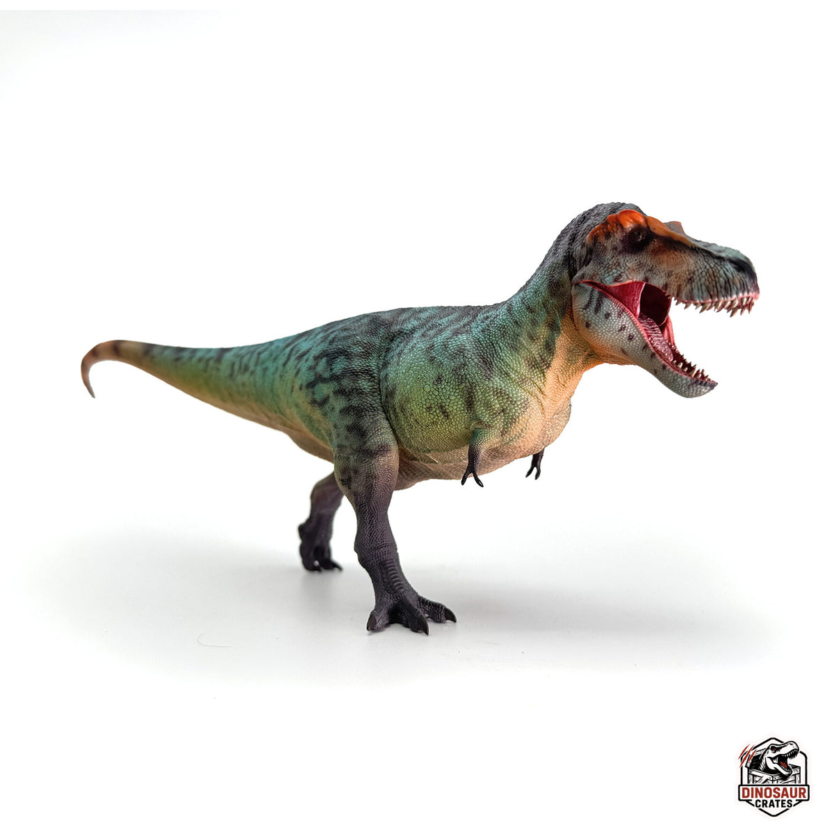 4rex Haolonggood Tyrannosaurus Rex Dinosaur Figure – Dinosaur Crates