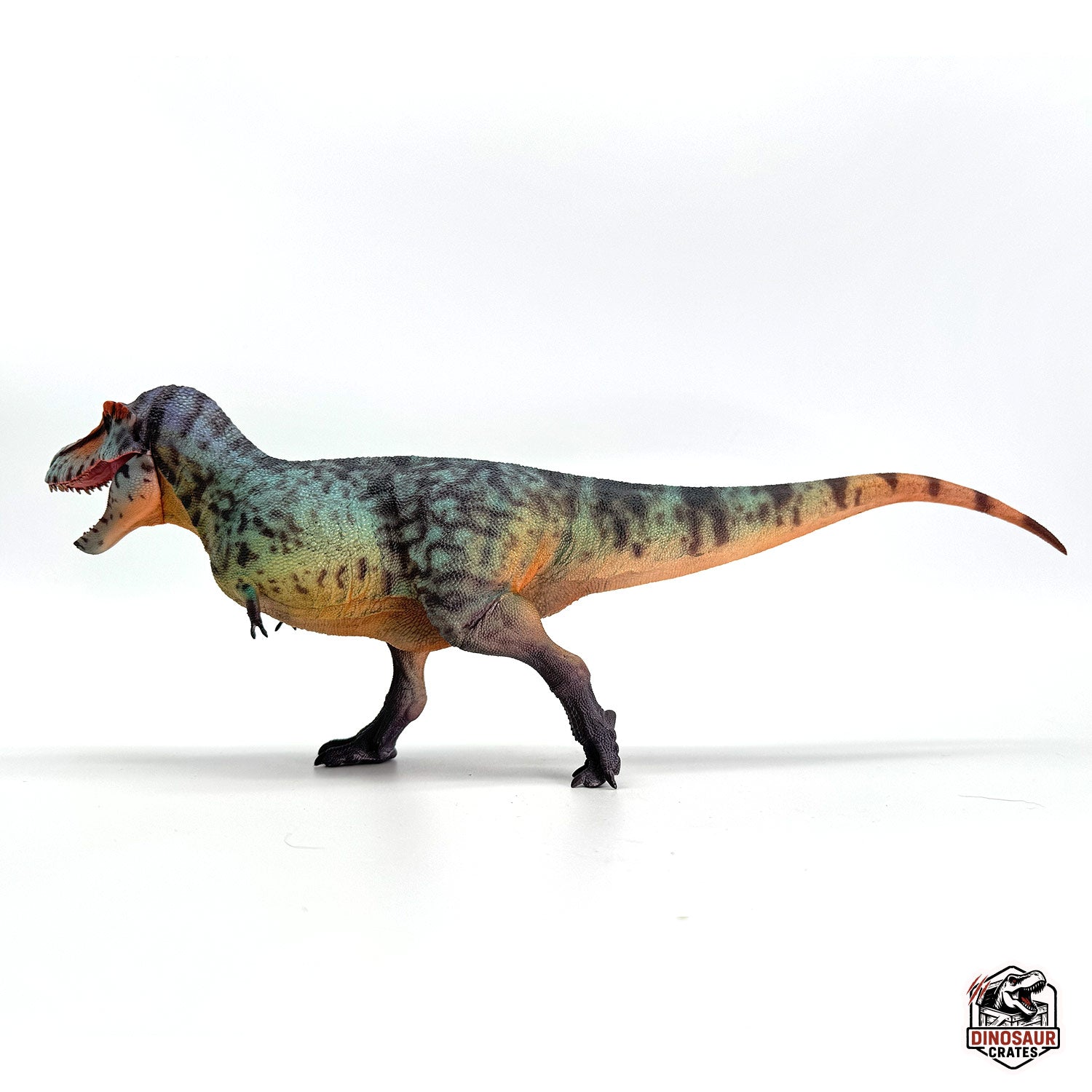 Haolonggood Tyrannosaurus Rex Dinosaur Figure – Dinosaur Crates