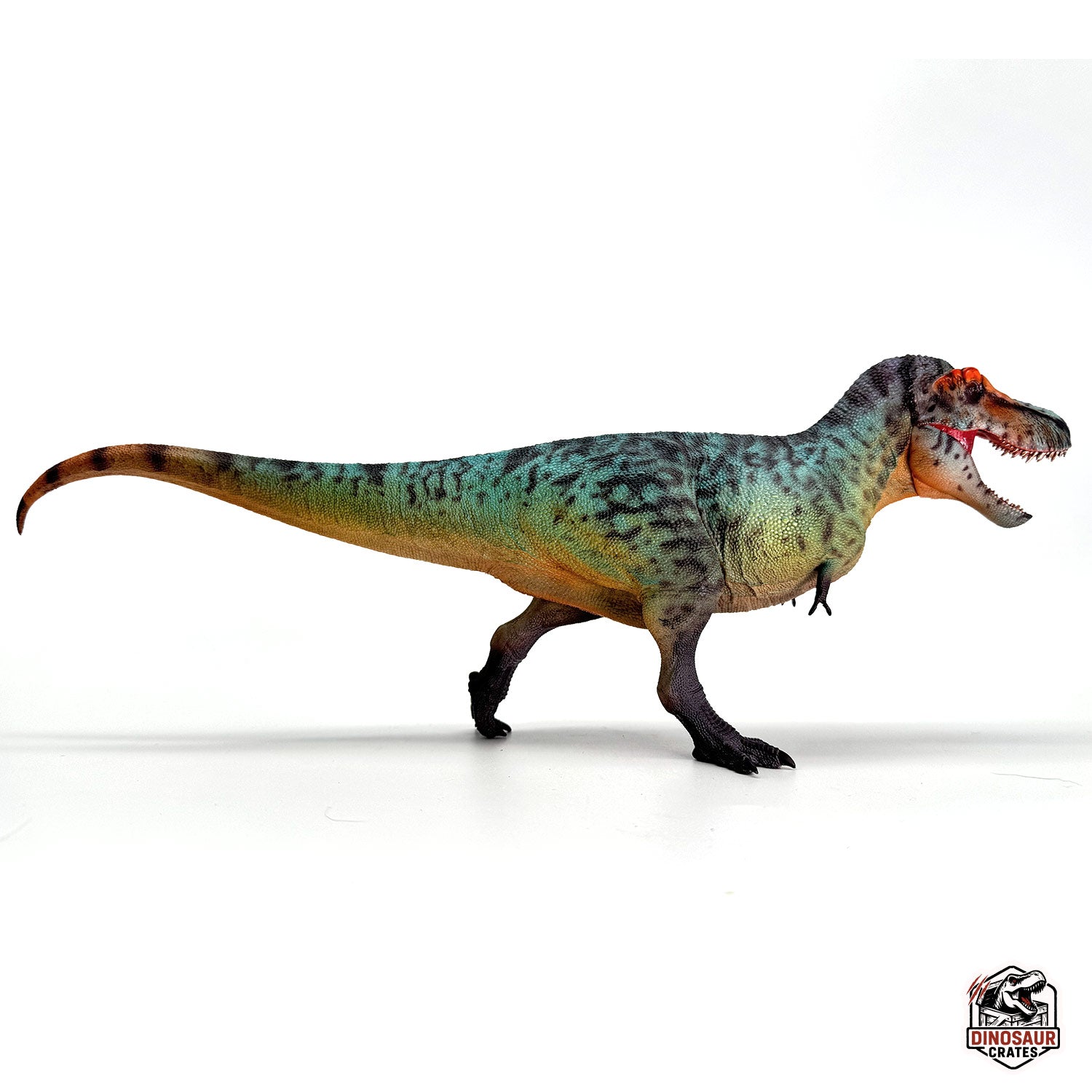 Haolonggood Tyrannosaurus Rex Dinosaur Figure – Dinosaur Crates