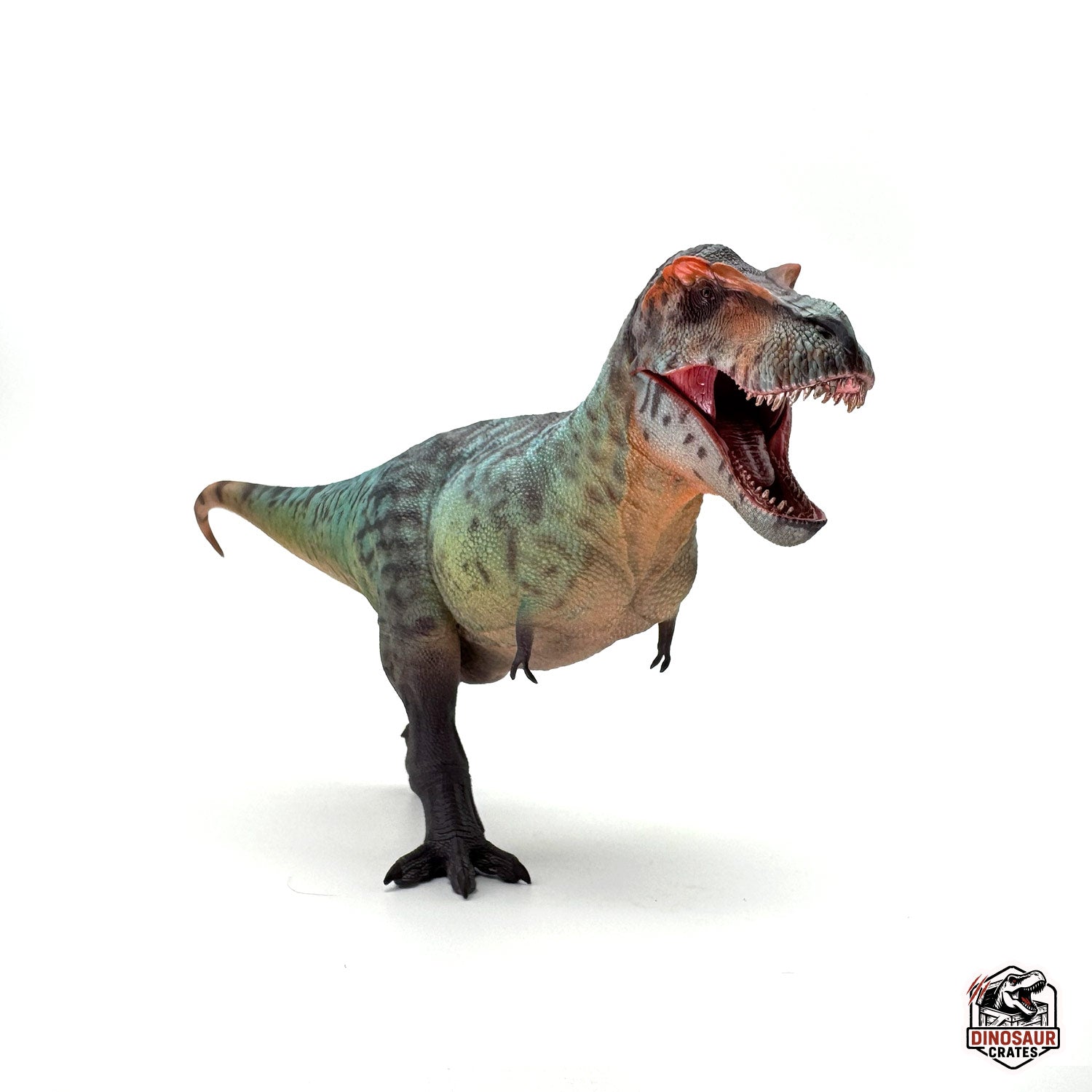 Haolonggood Tyrannosaurus Rex Dinosaur Figure