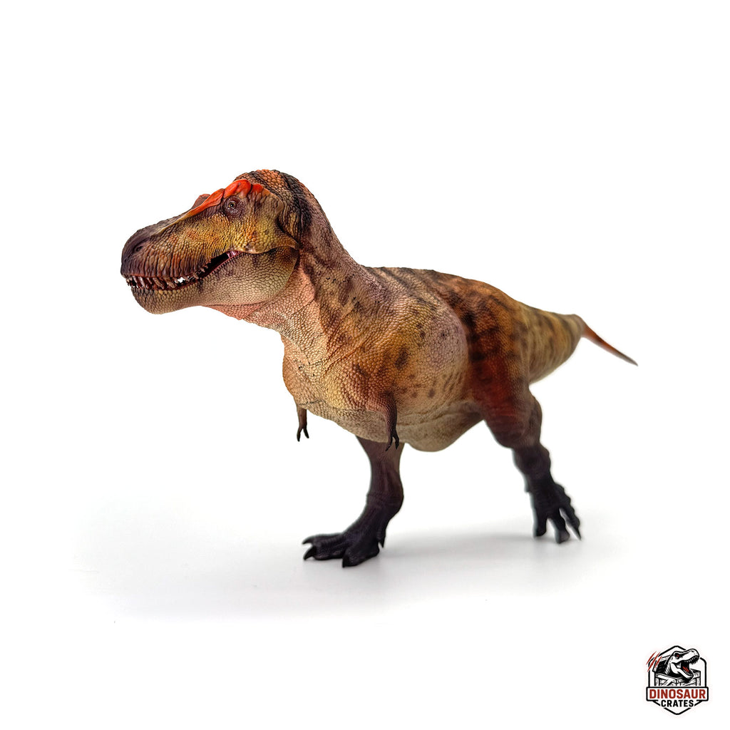Haolonggood Tyrannosaurus Rex Dinosaur Figure