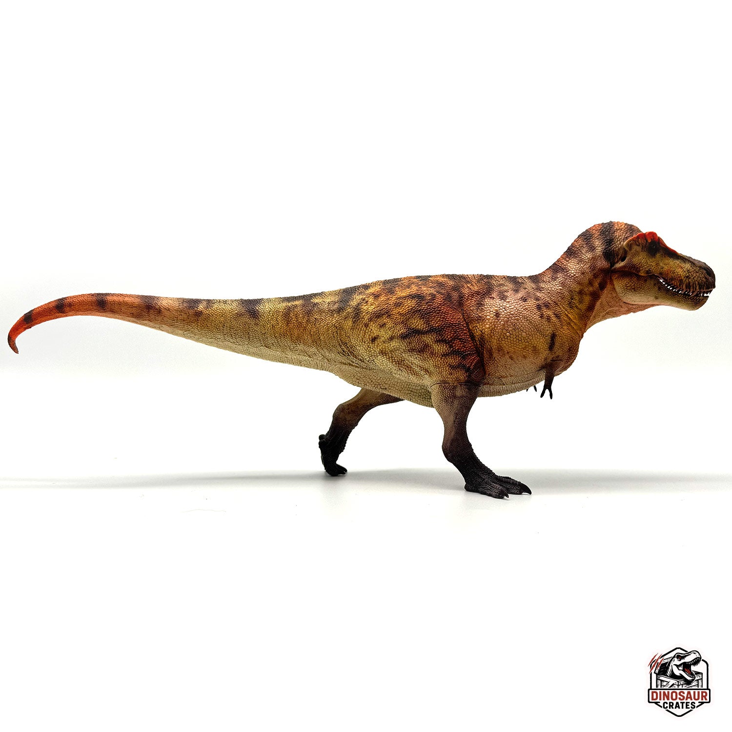 dinosaur フィギュア Haolonggood Tyrannosaurus Rex Dinosaur Figure – Dinosaur Crates
