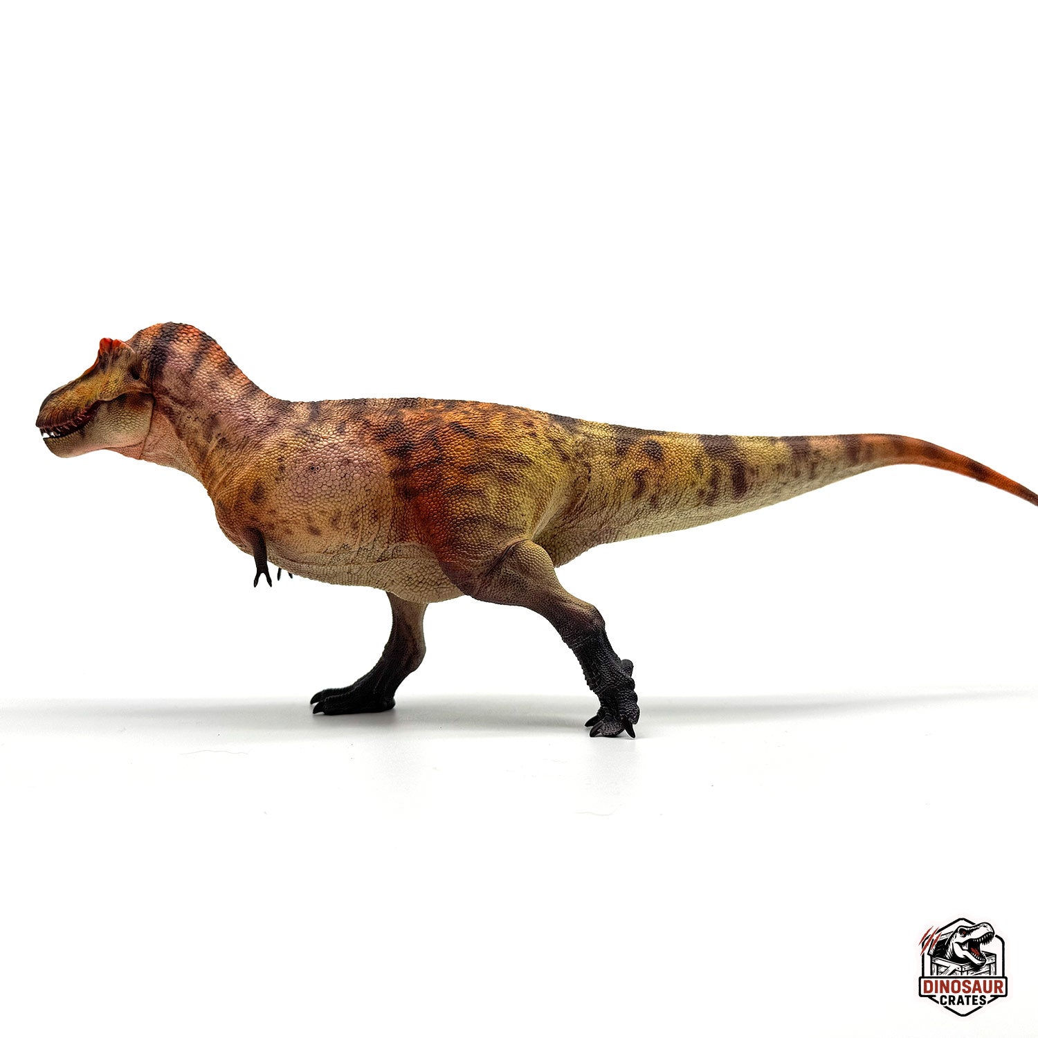 Haolonggood Tyrannosaurus Rex Dinosaur Figure