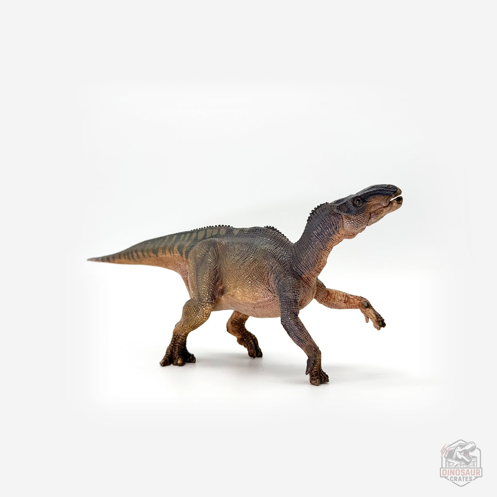 Papo Iguanodon Dinosaur Figure