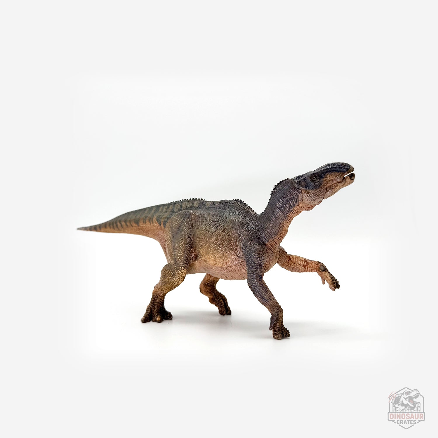 Papo Iguanodon Dinosaur Figure