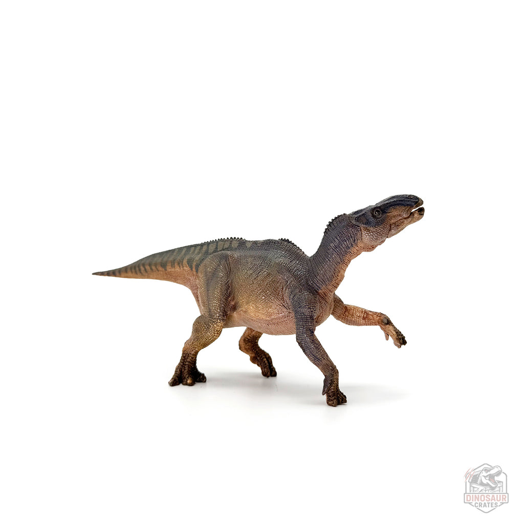 Papo Iguanodon Dinosaur Figure