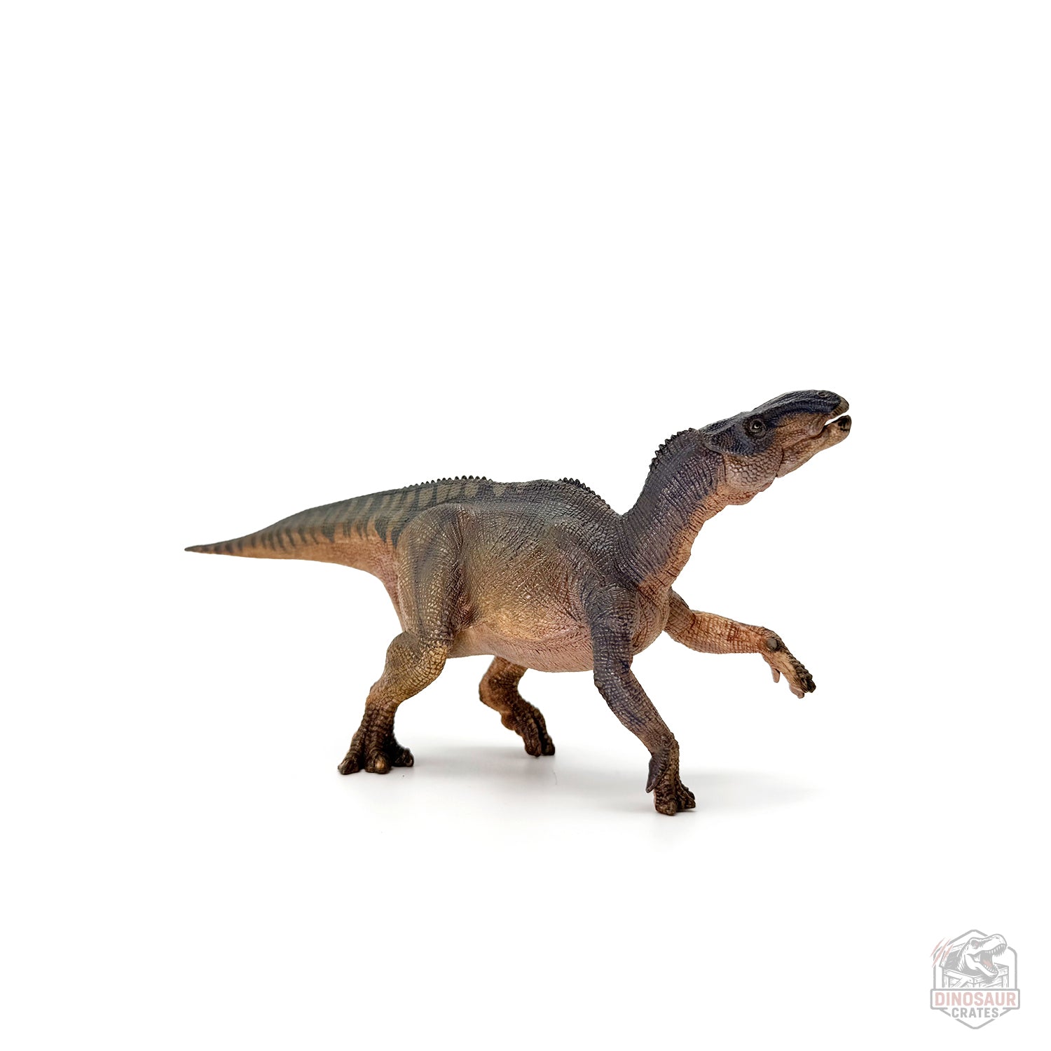 Papo Iguanodon Dinosaur Figure
