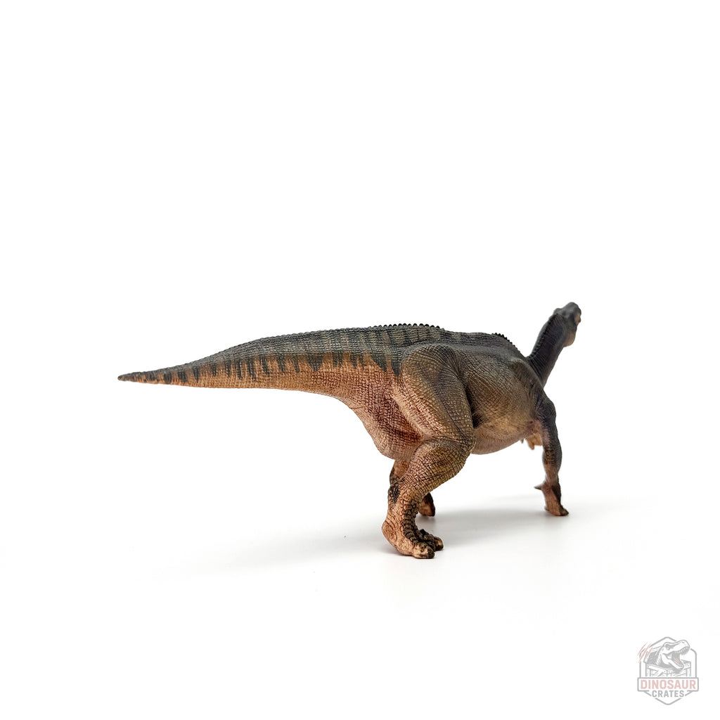 Papo Iguanodon Dinosaur Figure