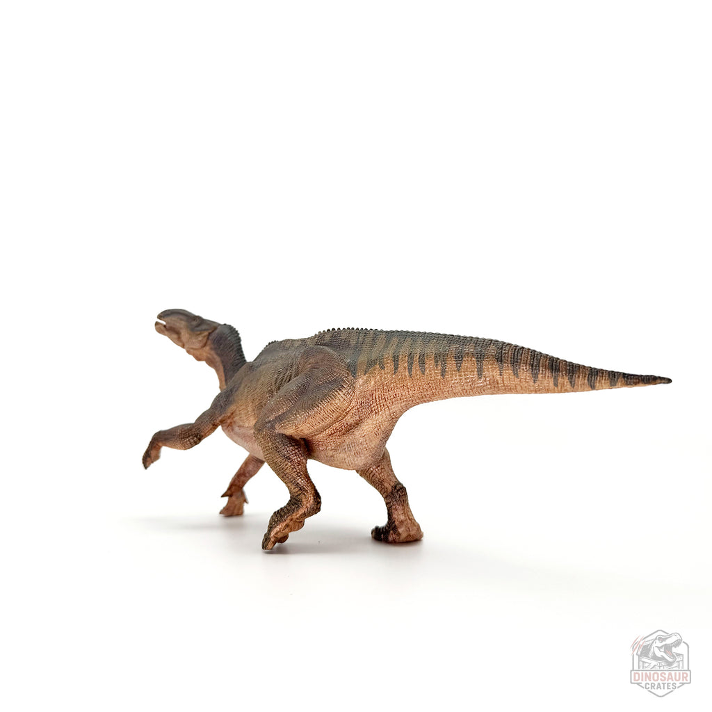 Papo Iguanodon Dinosaur Figure
