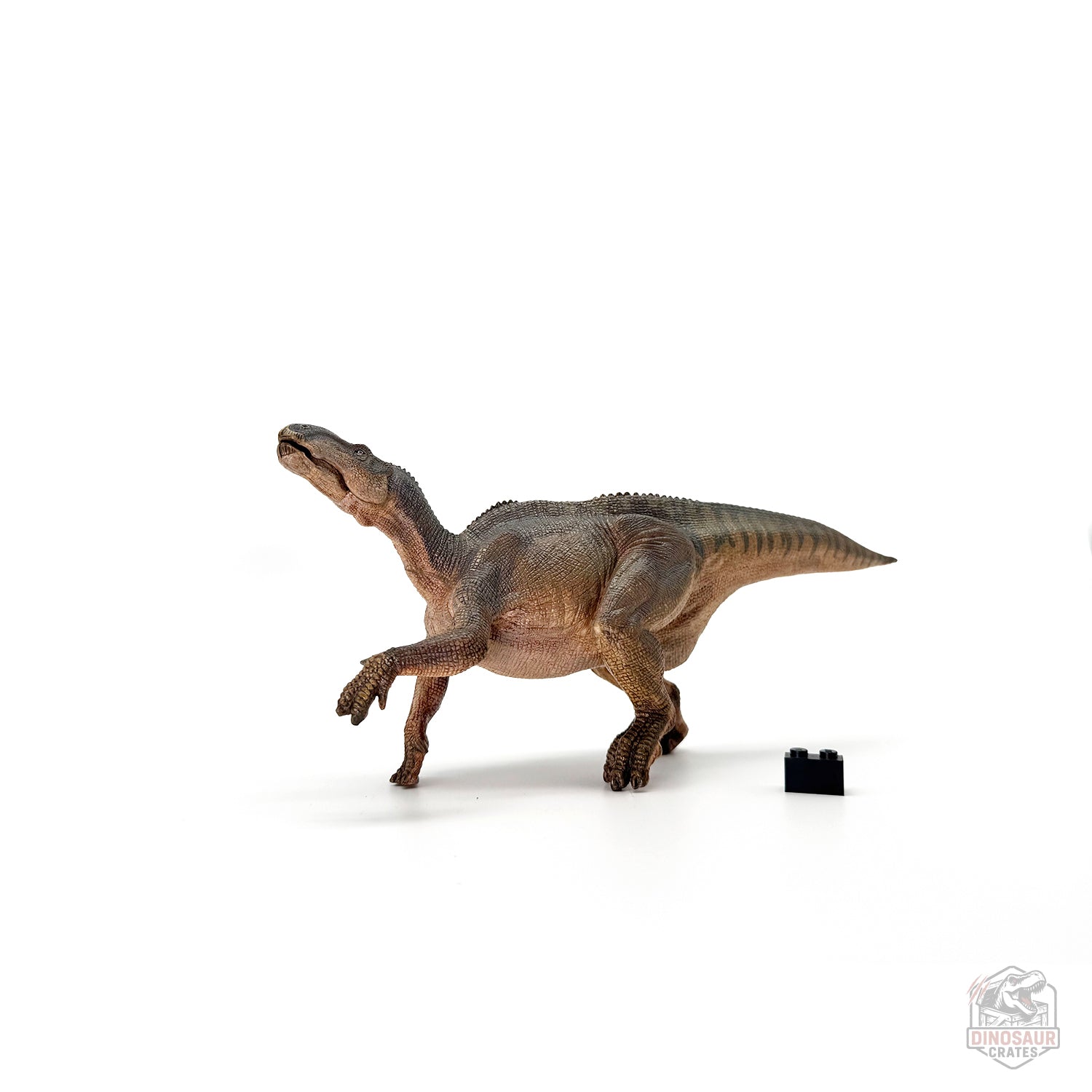Papo Iguanodon Dinosaur Figure