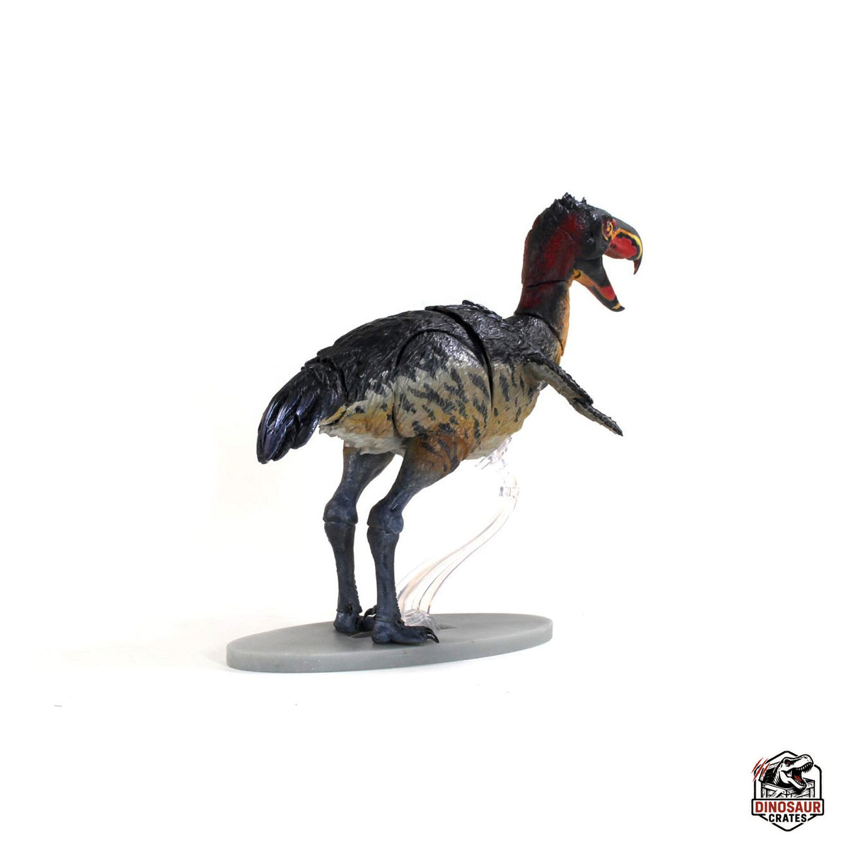 Kelenken guillermoi - Beasts of the Cenozoic – Dinosaur Crates