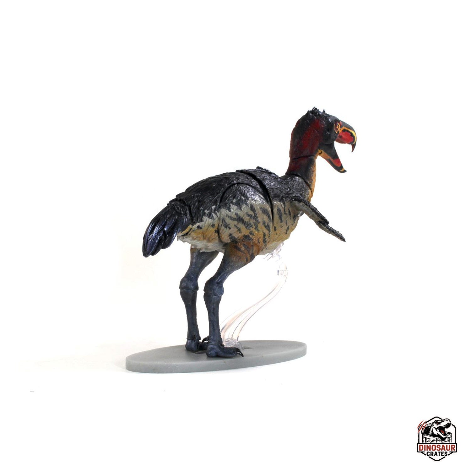 Kelenken guillermoi - Beasts of the Cenozoic  (Pre-Order)