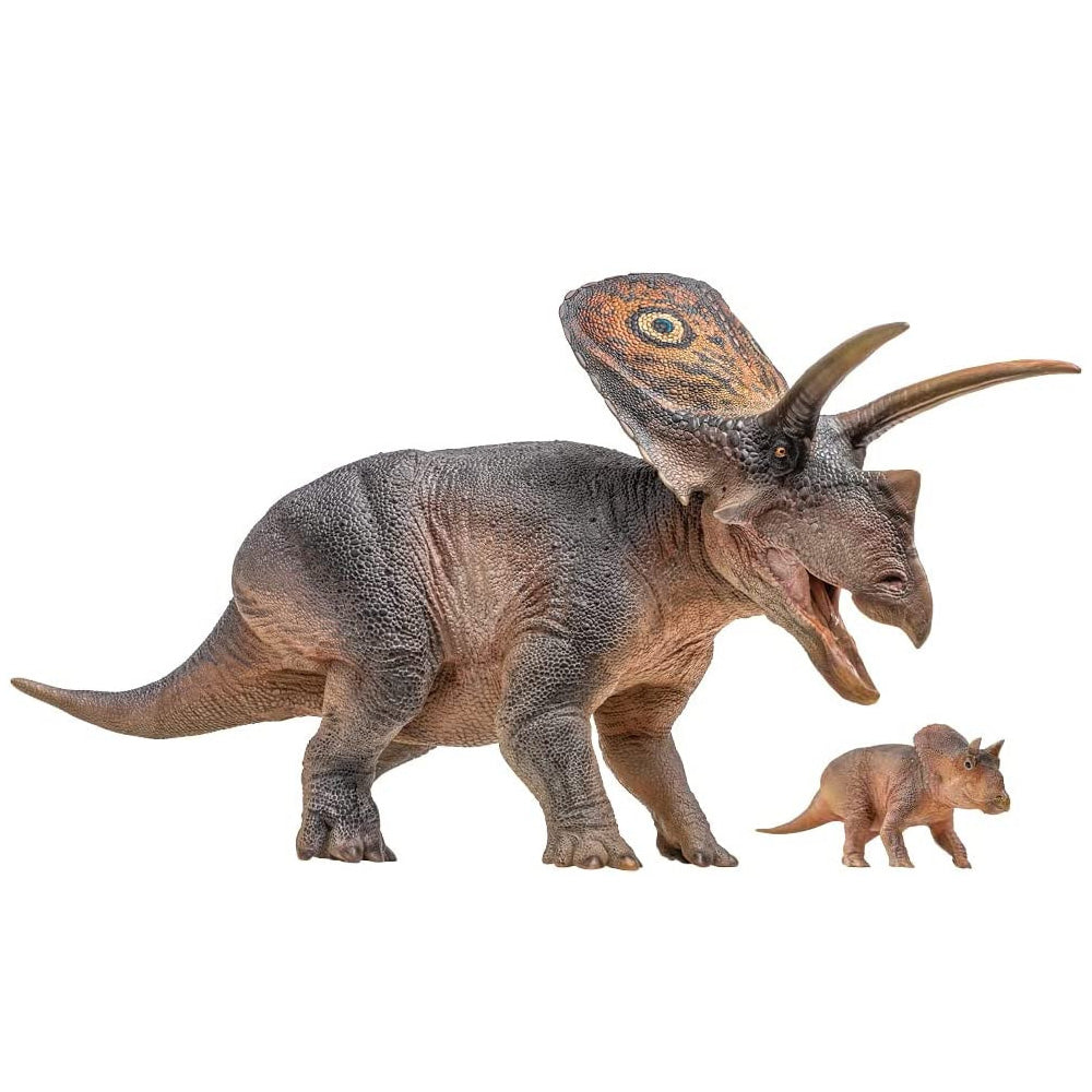 PNSO Aubrey & Dabei the Torosaurus