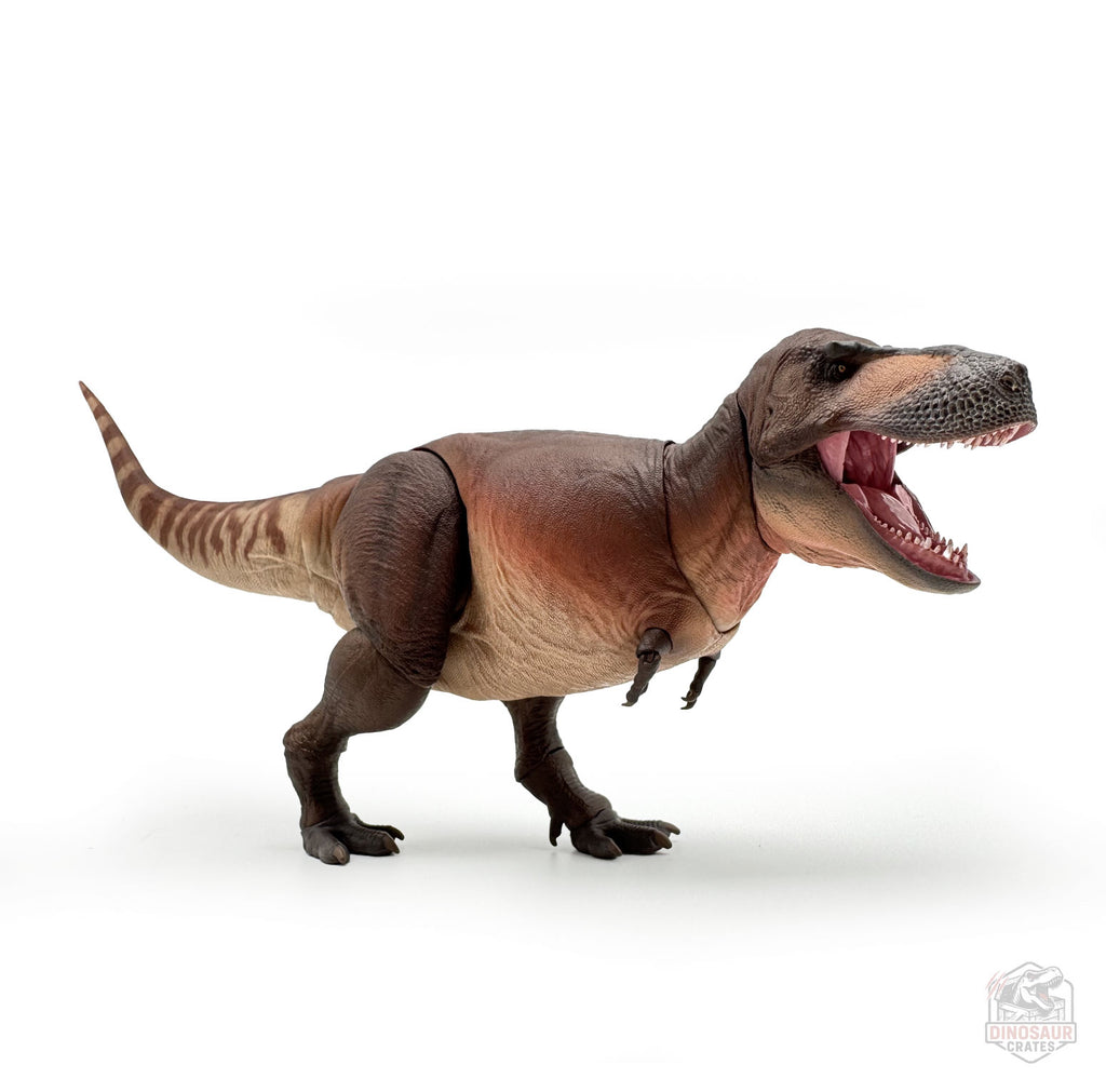 PNSO Cameron the Tyrannosaurus rex Articulated Series