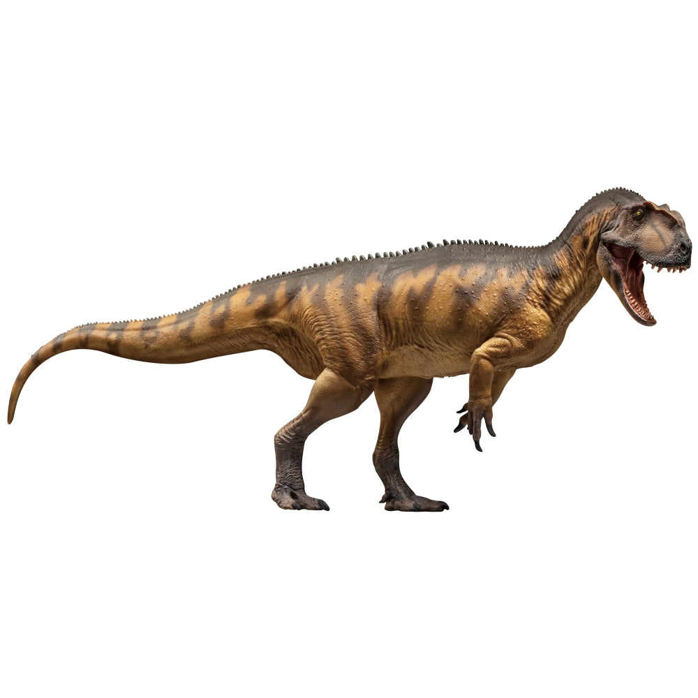 PNSO Dapeng the Yangchuanosaurus magnus