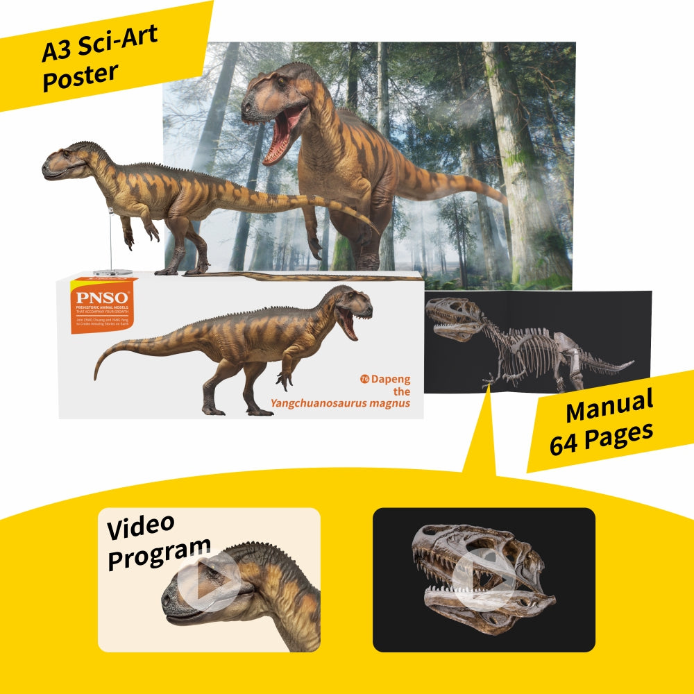 PNSO Dapeng the Yangchuanosaurus magnus