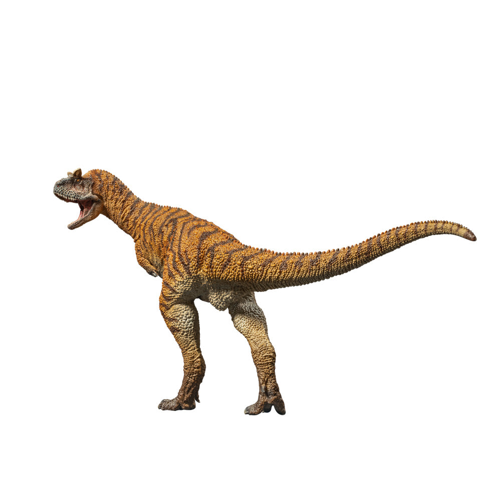 PNSO Domingo le Carnotaurus