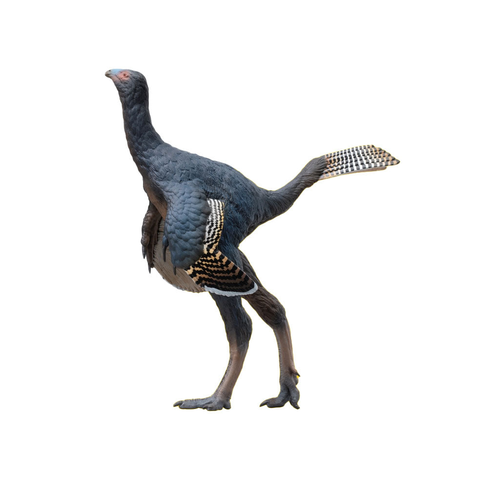 PNSO Junlang the Caudipteryx