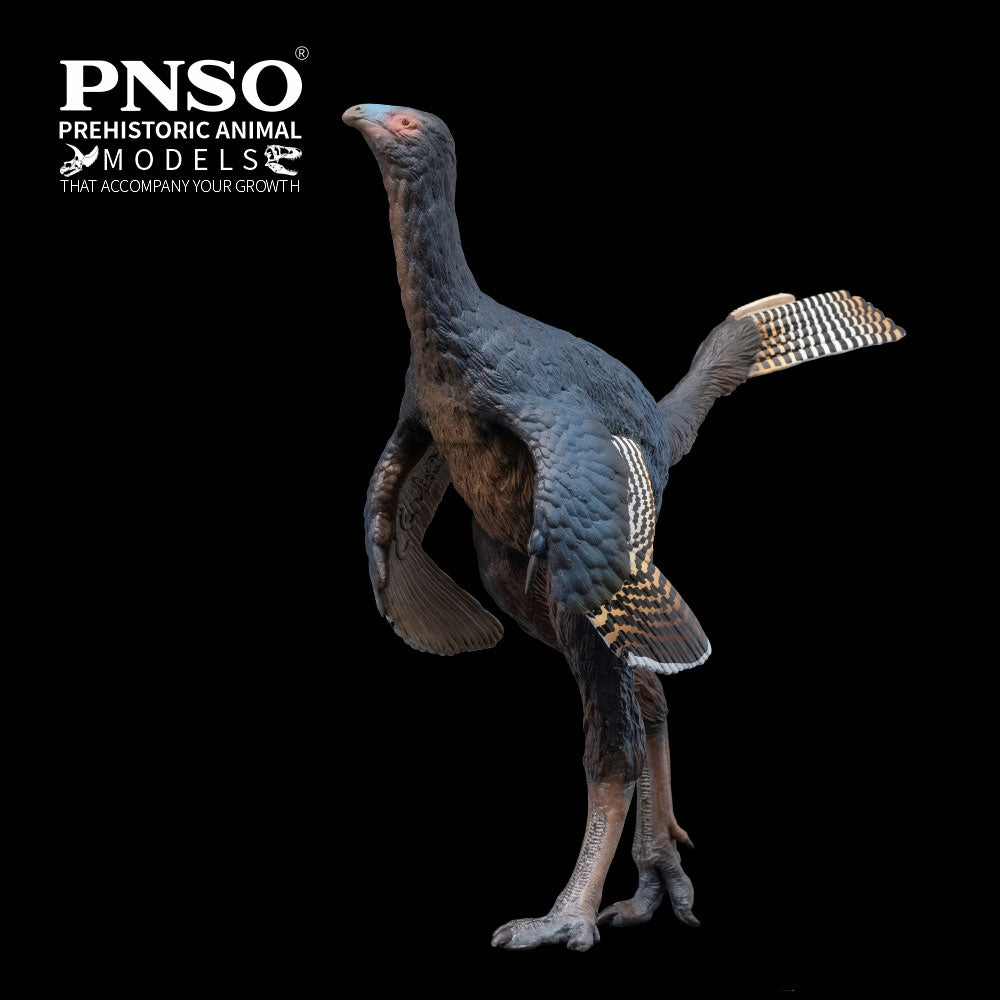 PNSO Junlang the Caudipteryx
