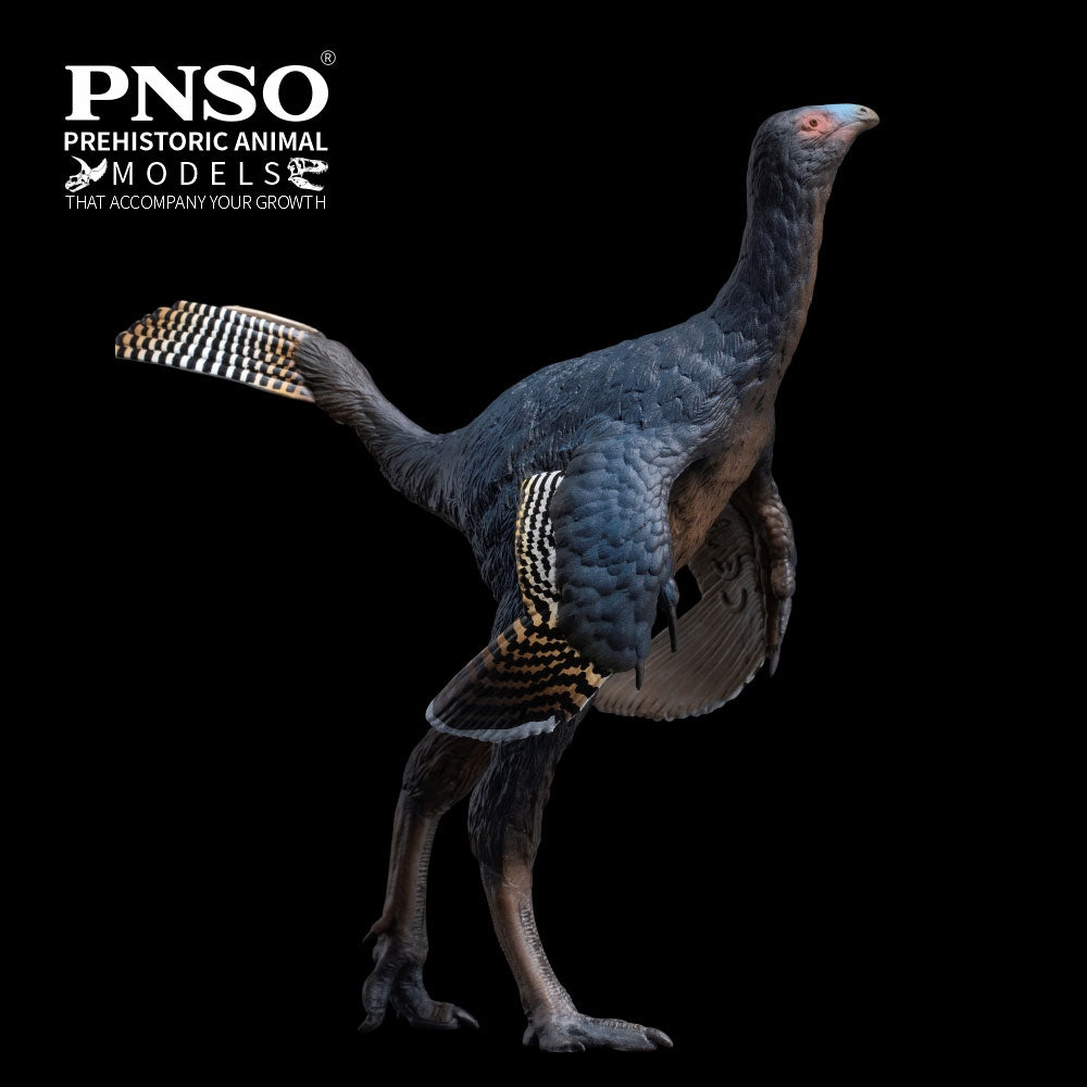 PNSO Junlang the Caudipteryx