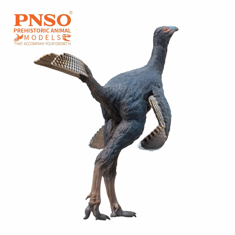 PNSO Junlang the Caudipteryx