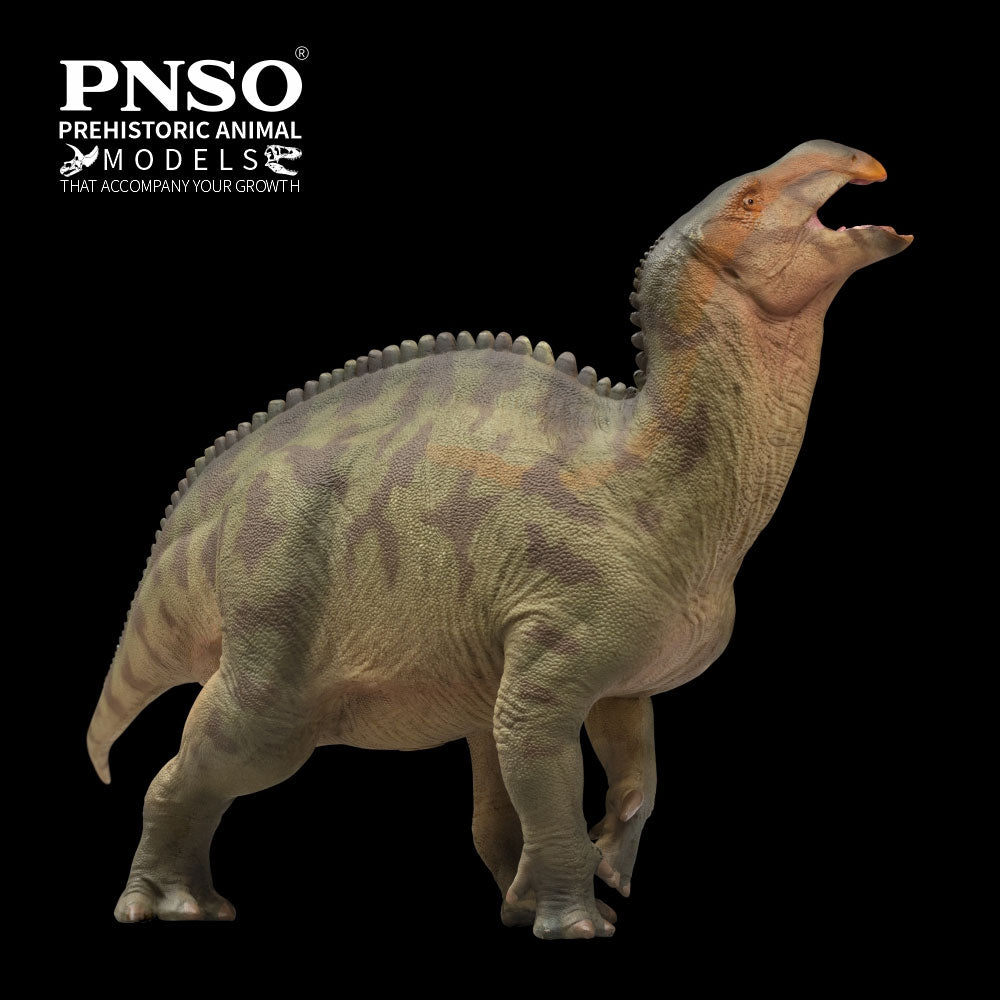 PNSO Lanqi le Lanzhousaurus