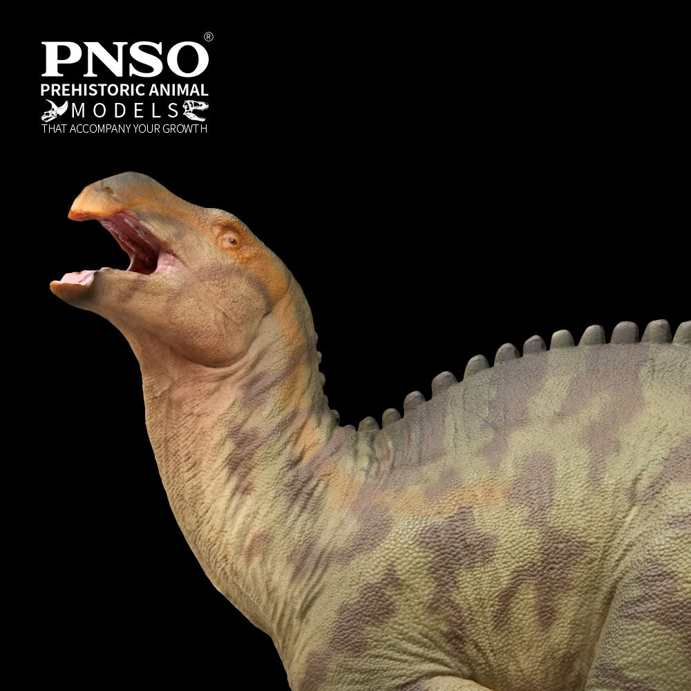 PNSO Lanqi le Lanzhousaurus