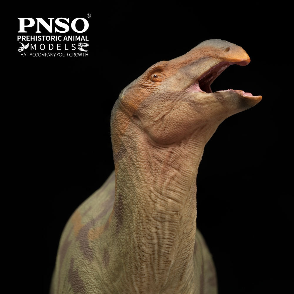 PNSO Lanqi le Lanzhousaurus