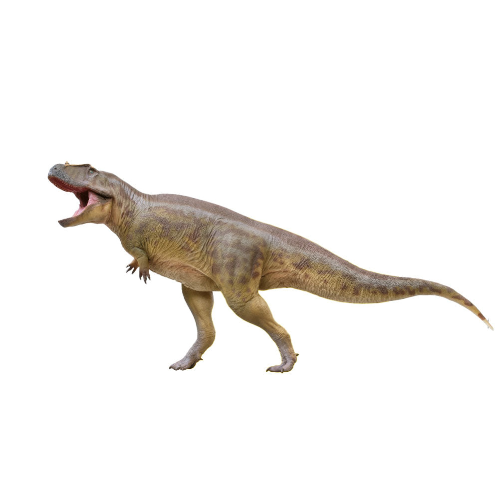 PNSO Mayer the Tameryraptor