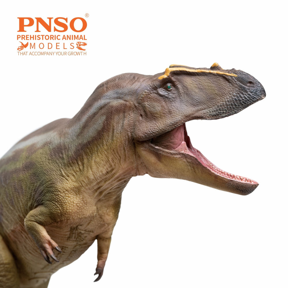 PNSO Mayer the Tameryraptor