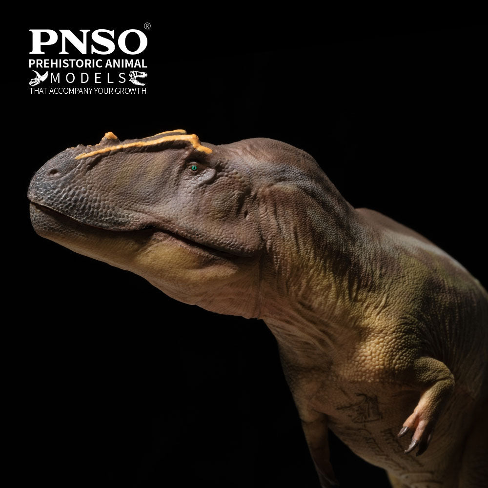 PNSO Mayer the Tameryraptor