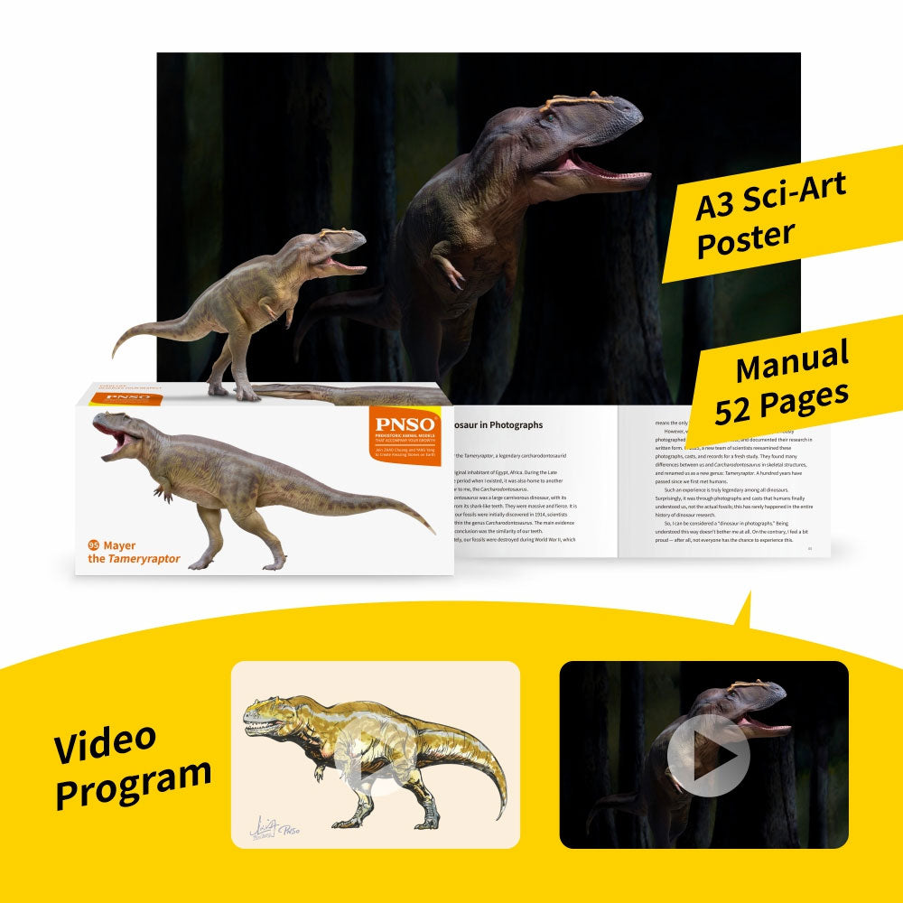 PNSO Mayer the Tameryraptor