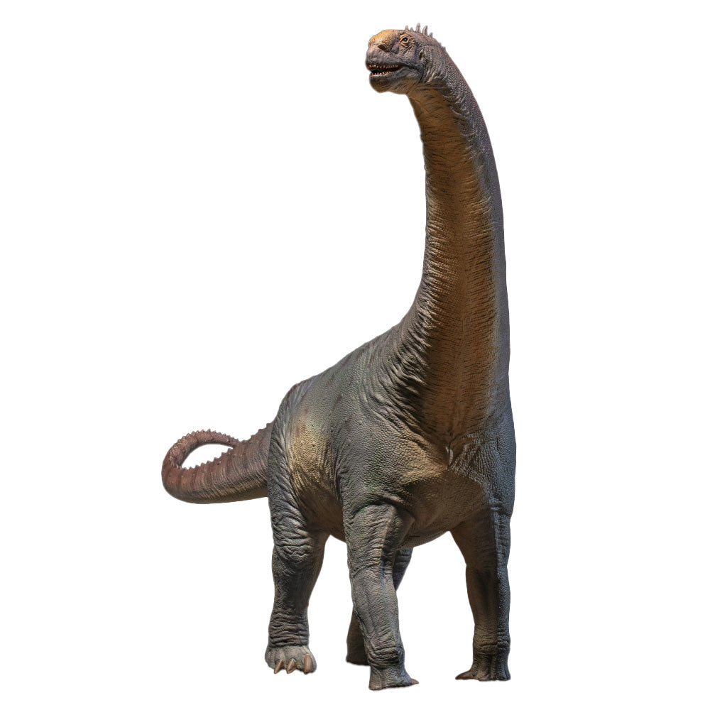 PNSO Njor the Camarasaurus