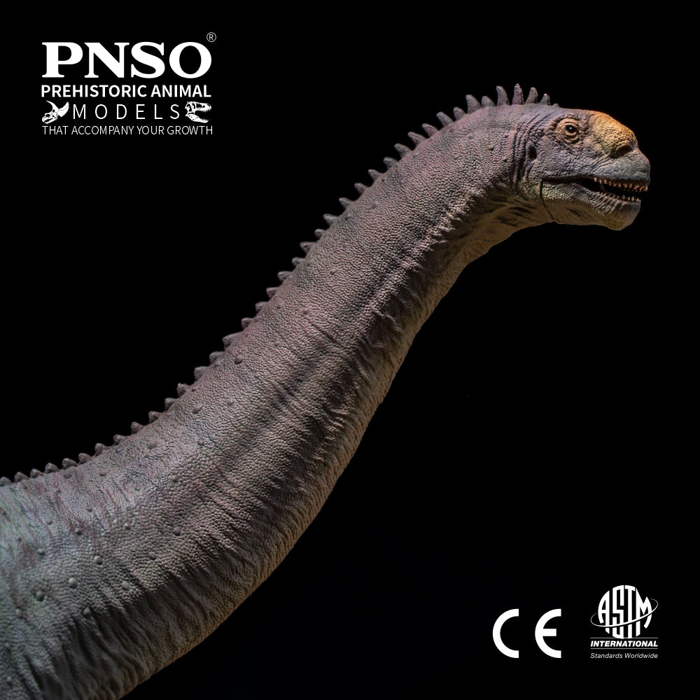 PNSO Njor the Camarasaurus