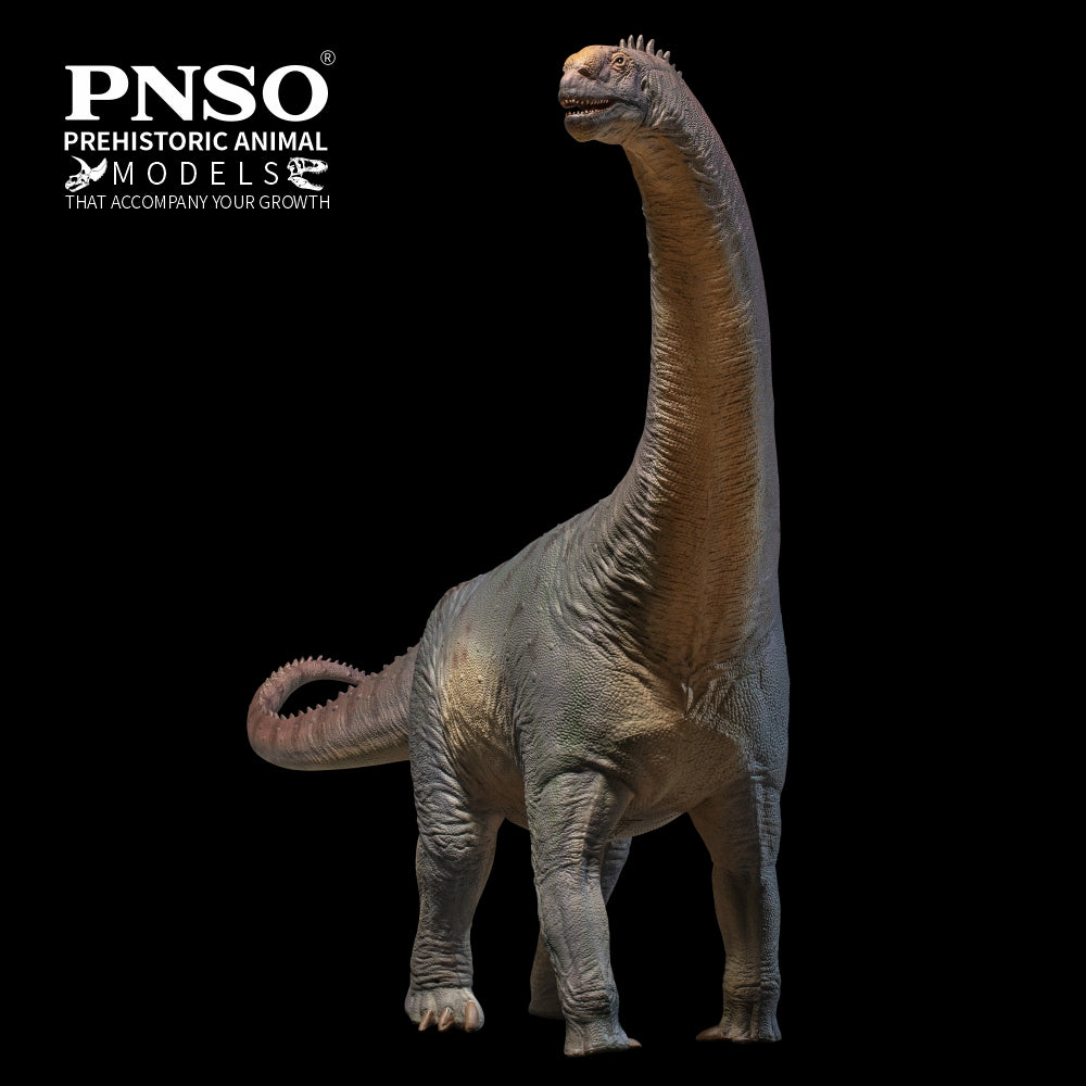 PNSO Njor the Camarasaurus