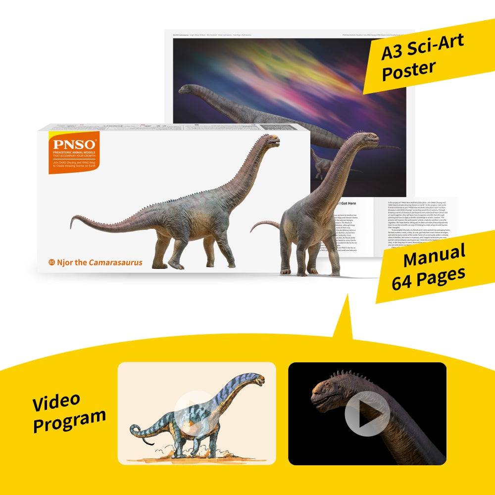 PNSO Njor the Camarasaurus