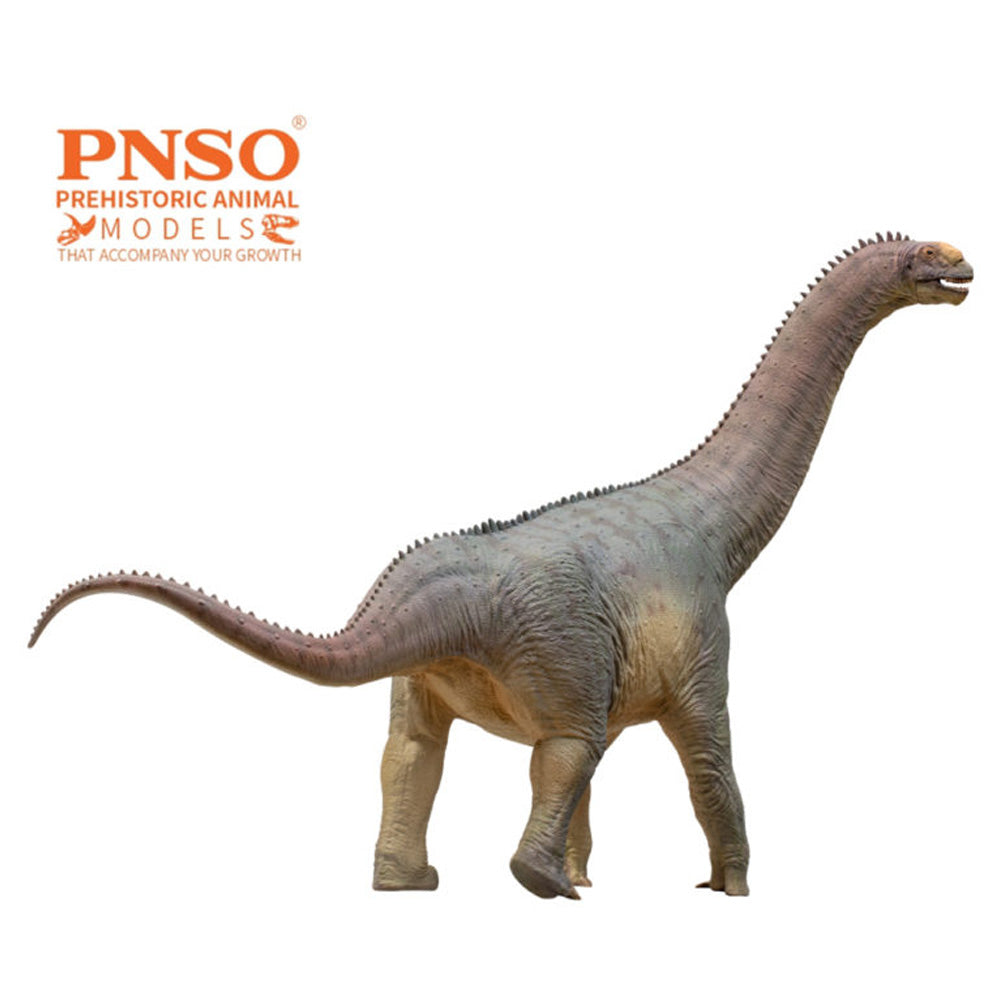 PNSO Njor the Camarasaurus