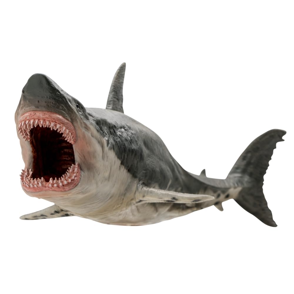 PNSO Patton the Megalodon