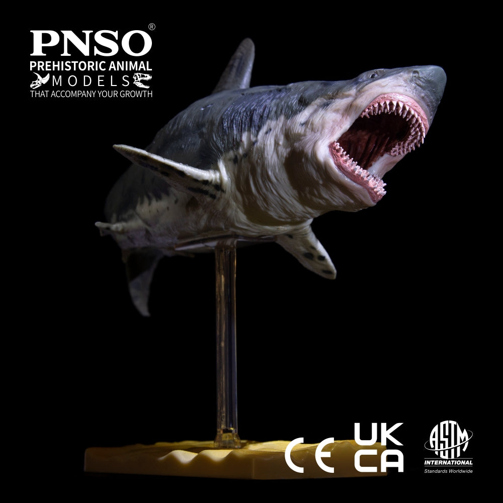 PNSO Patton the Megalodon