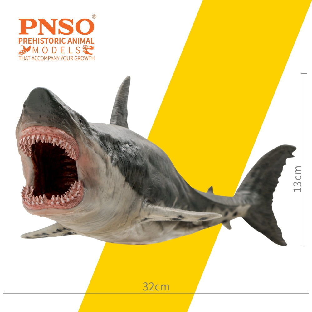 PNSO Patton the Megalodon