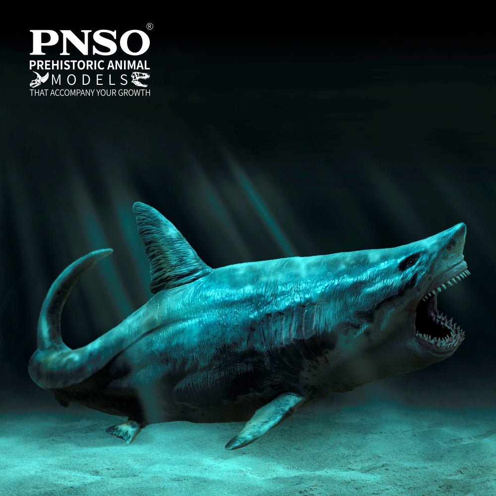 PNSO Patton the Megalodon